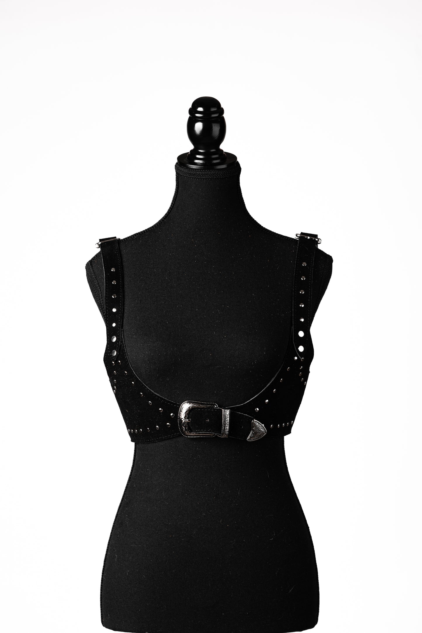 The Molly Black Full Stud