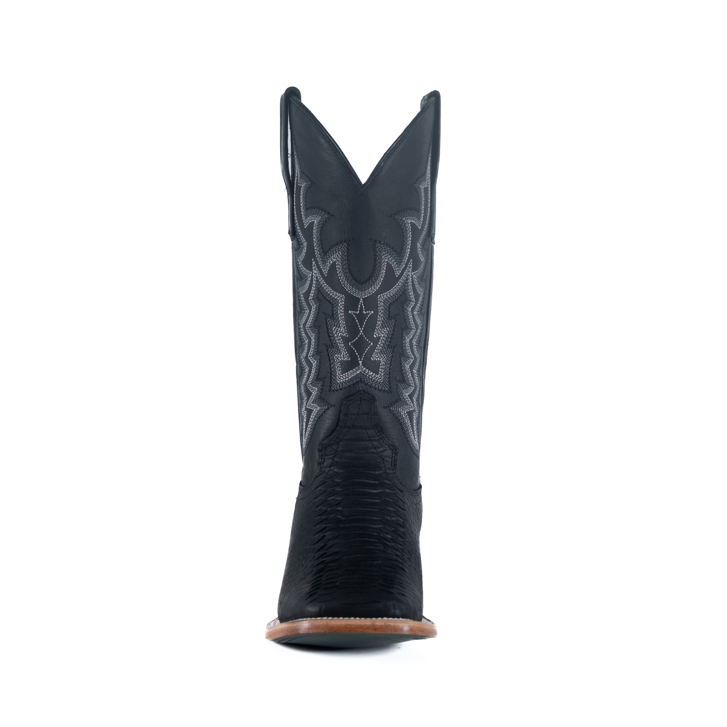 The Holsteiner Black