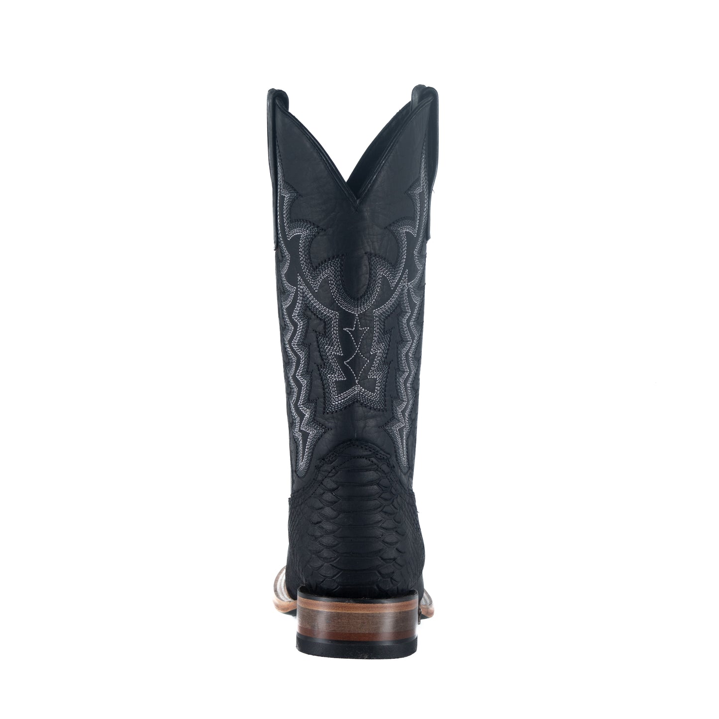 The Holsteiner Black